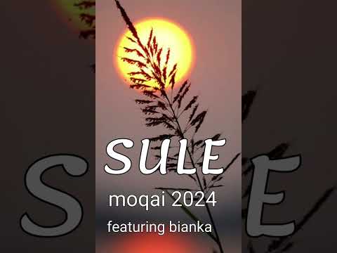 moqai 2024 featuring biankamoqai (SULE)