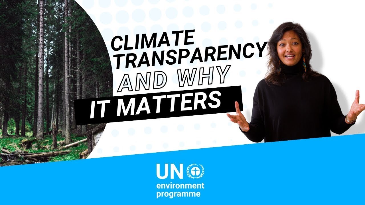 Climate transparency and why it matters