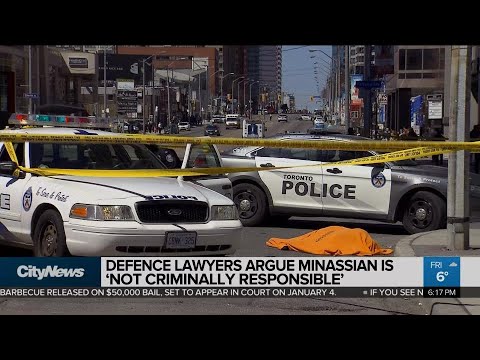 Minassian’s lawyers call forensic psychiatrist in van attack trial