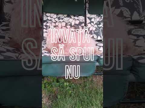 Neglijarea din iubire