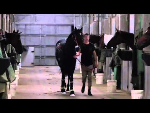 Xtravagant leaving Matamata for Melbourne