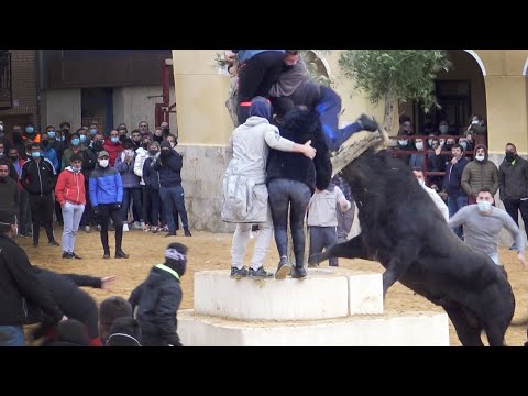 Cuidado con el TORO y el ARBOL Villalpando 2021