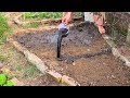 Struggling with Poor Soil? Try This EASY Fix!