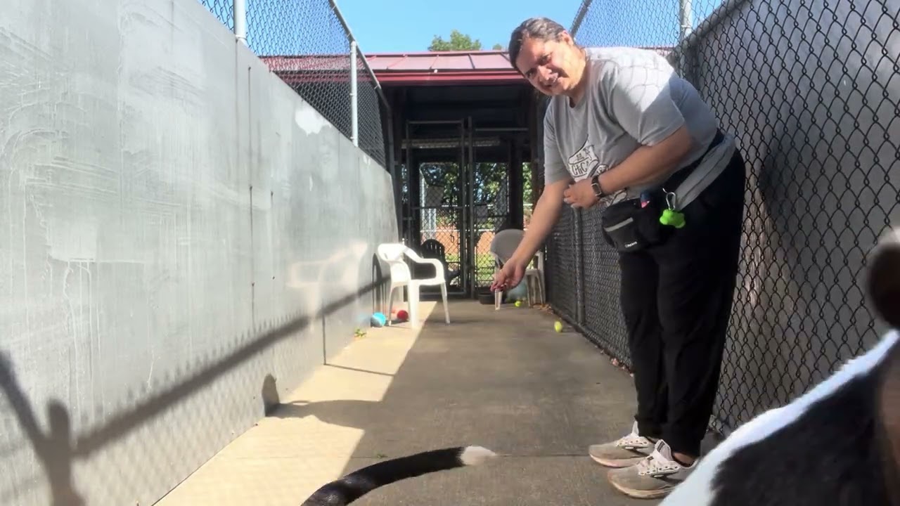 Jimmy video preview