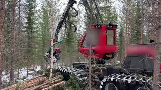 Харвестер Komatsu 901XC Harvester | Изображение 4 - Agroline