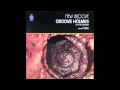 Groove Holmes - Red Onion