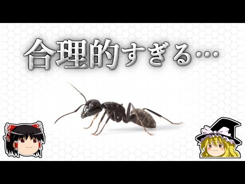 アリには脳があるのでしょうか?
