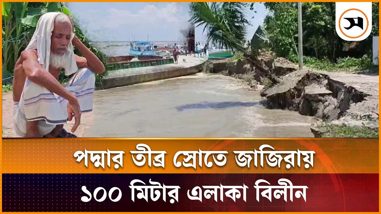 পদ্মার তীব্র স্রোতে জাজিরায় ১০০ মিটার এলাকা বিলীন, আতঙ্কে নদীপাড়ের মানুষ পদ্মার তীব্র স্রোতে জাজিরায় ১০০ মিটার এলাকা বিলীন, আতঙ্কে নদীপাড়ের মানুষ