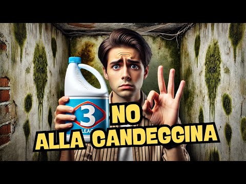 3 motivi per cui non dovresti MAI usare la candeggina sulla muffa!