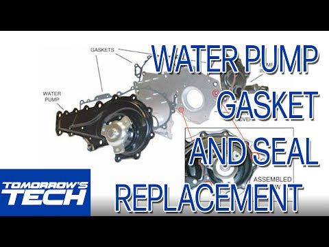 Water Pump Gasket and Seal Replacement