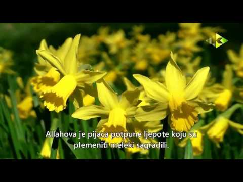 OPIS DŽENNETA (RAJA)