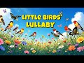 Little Birds' Lullaby 🎵🦜 | A Soothing Song for Children About Birds 🦅 🎶| UniTales