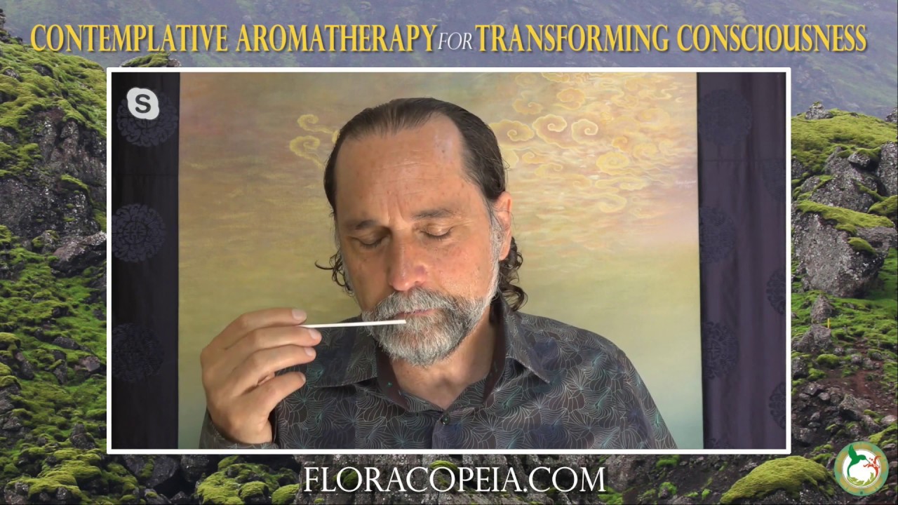 Contemplative Aromatherapy with Palo Santo with David Crow, L.Ac. - YouTube