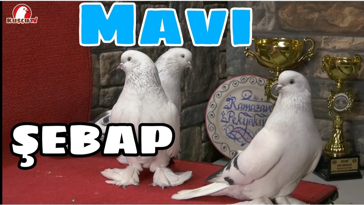 MAVİ ŞEBAPLARI RAMAZAN PEKYAKIN İLE ANLATTIK