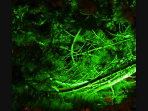 film expérimental.wmv