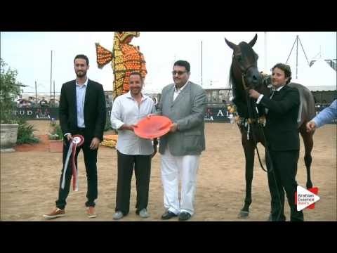 Menton 2016 - Special Awards - Prizegiving - Higher score in the Show: n. 131