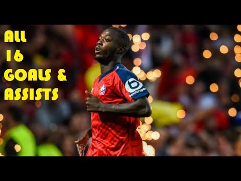 Nicolas Pepe - All 16 Goals & Assists 2018/2019