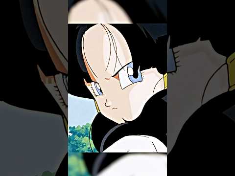 Videl Meets Chi-Chi For The First Time😂