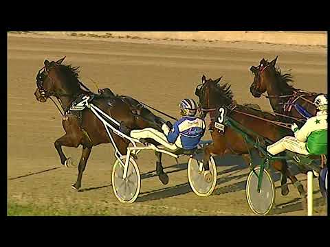 Napoli Trotto 31/12/2021 - 6ª corsa