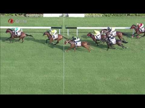 21/09/2014 (25) 追風駿足 (N404) 莫雷拉