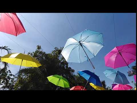 Umbrella hanging on the sky and flying with the wind for Flowers Festival at Khon Kaen, Thailand.