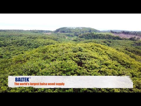 3A Composites Core Materials BALTEK® Balsa wood operation in Papua New Guinea