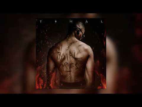 Timal - Nos vies feat. Morad (Audio)