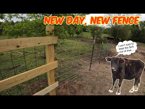 New day, NEW FENCE