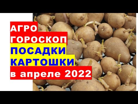 , title : 'Агрогороскоп посадки картошки в апреле 2022 года'
