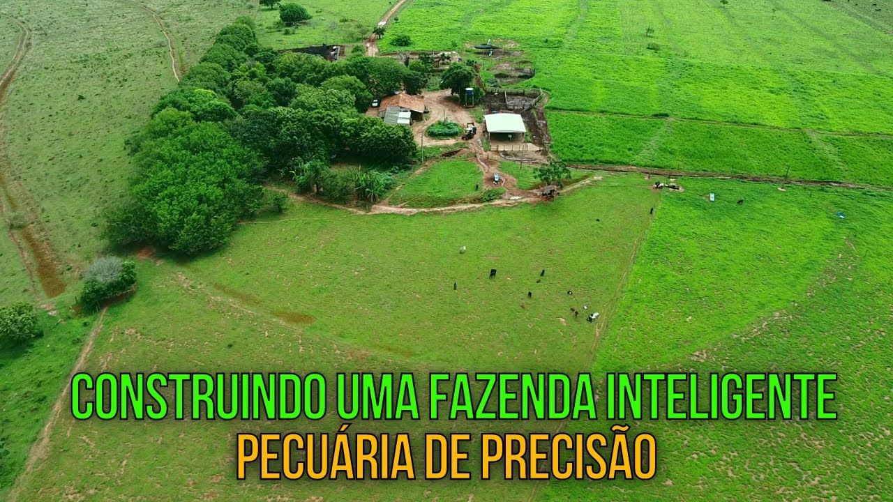 COMO COMEÇAR UM PROJETO FAZENDA DE PECUÁRIA DO ZERO? Parte 1