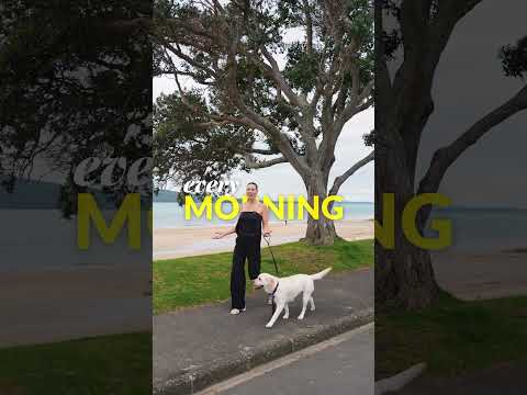 29 North Avenue, Devonport, North Shore City, 3 침실, 2 욕실, House