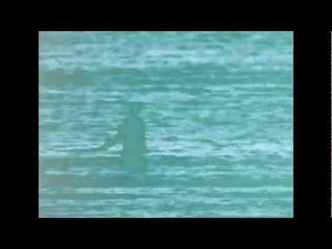 Stumbleine - Sun Bleached