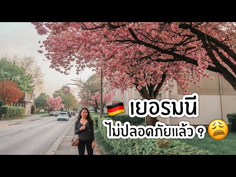 สูตรที่มีส่วนผสมของฮอร์โมนเพศชายเพื่อเพิ่มความแข็งแรง เป็นแรงเบียร์ในผู้ชาย