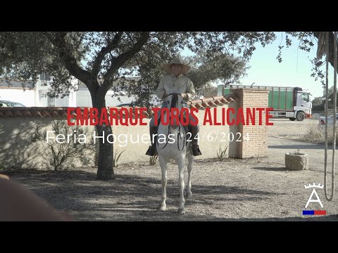 EMBARQUE TOROS – VICTORINO MARTÍN – FERIA DE HOGUERAS 2024 – ALICANTE