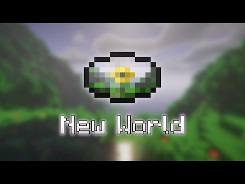 New World - Fan Made Minecraft Music Disc