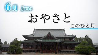 「６月June」『おやさと このひと月』
