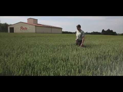 Unser Weizen - Qualität und Regionalität