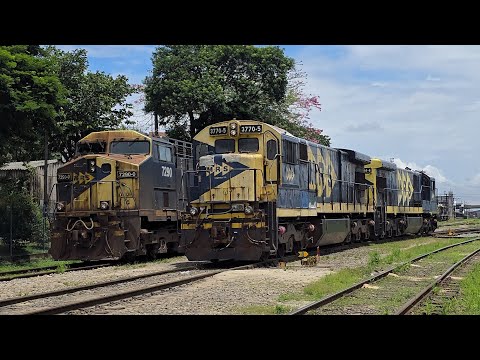 Os trens da MRS com as mais variadas cargas 