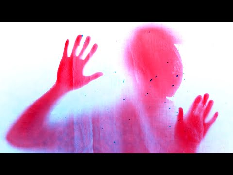 BLACKBOOK - Echoes And Shadows (OFFICIAL VIDEO) | darkTunes Music Group