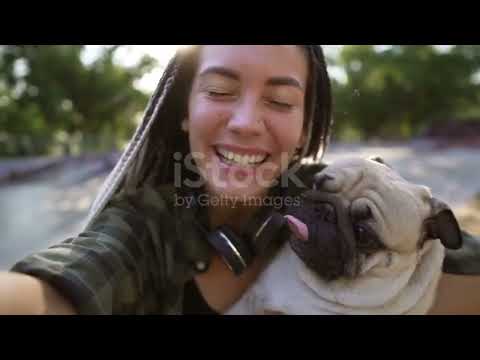 #babydog #funnydog #Dogs - Cute and Funny Dog Videos Compilation #Dil the gal tv | cute Dogs 🐕