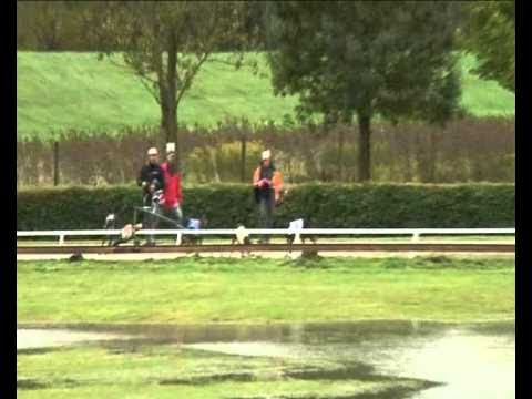 2010 European Derby Sprint Trophy Invitation