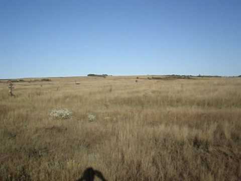 Josefstal - Иозефсталь (Skripalovo- Скрипалово) Russia: The cemetery