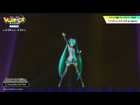 【3/19(木)まで特別公開！】初音ミク「マジカルミライ 2024」での『ボルテッカー』ライブ映像！【ポケミクライブ開催記念】