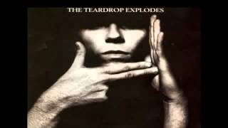 The Teardrop Explodes - You Disappear From View