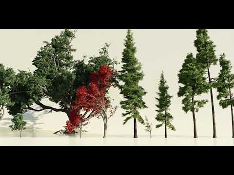 Forest Nodes - Procedural Trees