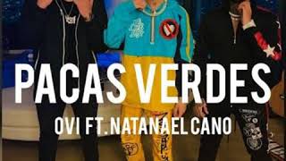 Natanael Cano - Pacas Verdes AUDIO