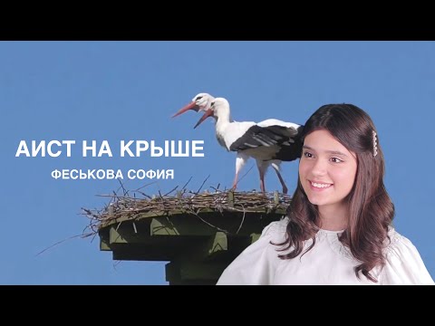 АИСТ НА КРЫШЕ Феськова София БЕРЕГИТЕ МИР!