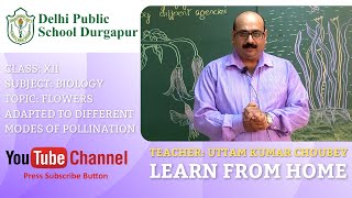 CLASS XII | TOPIC: FLOWERS ADAPTED TO DIFFERENT MODES OF POLLINATION | BIOLOGY | LAB | DPS DURGAPUR