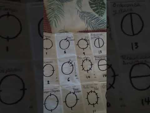 Alfabeto Cósmico 108 (en proceso) 1997 hasta hoy!!!