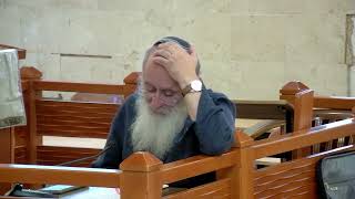 וְהָאָרֶץ נִשְׁאֲרָה הַרְבֵּה מְאֹד לְרִשְׁתָּהּ – שיעור 49 – ספר יהושע פרקים יב- יג